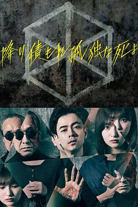 久久人人爽人人爽人人片av高清
